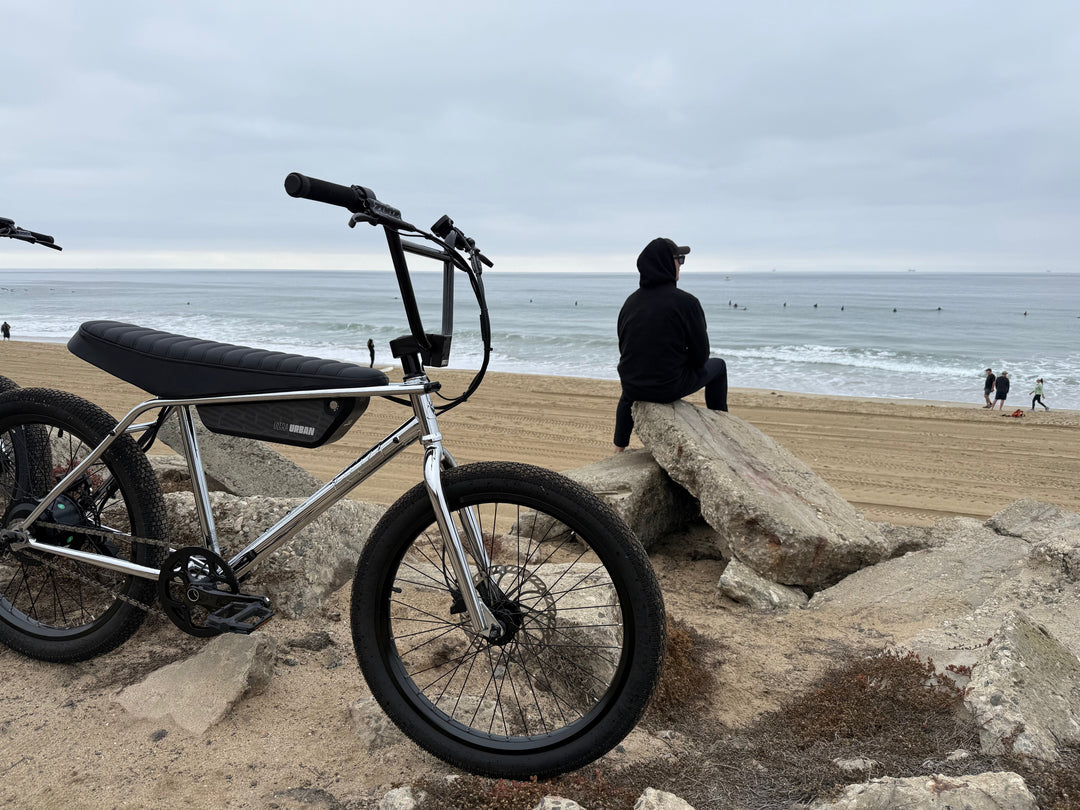 The True Cost of Cheap Ebikes.