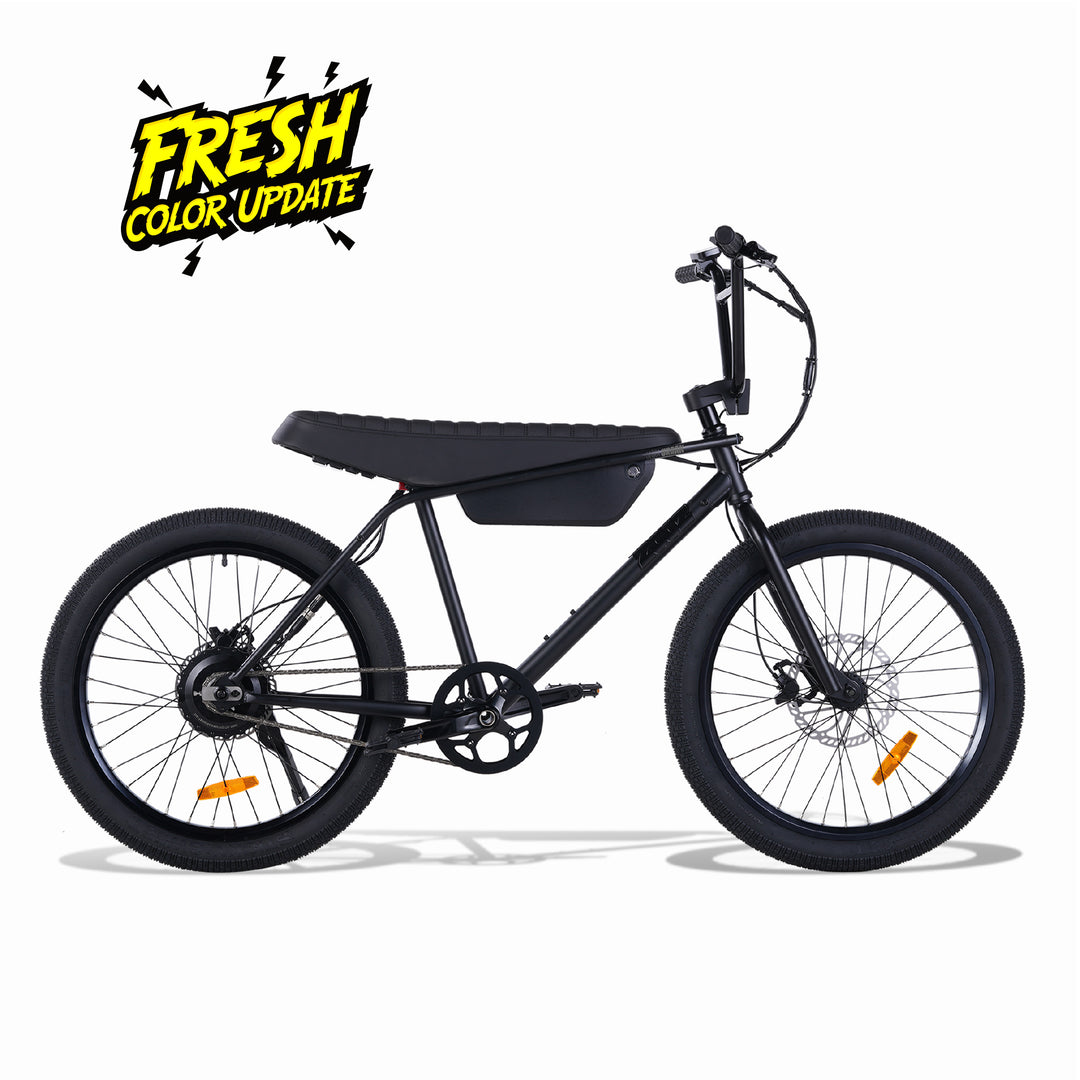 electric bicycle electric bicycle Comfortable Bike the XP Lite Windhorse W2A Electric Bike
